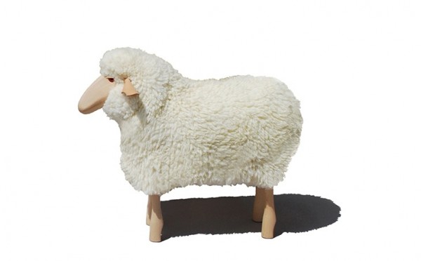 Schaf, klein, weißes Fell, Buche
