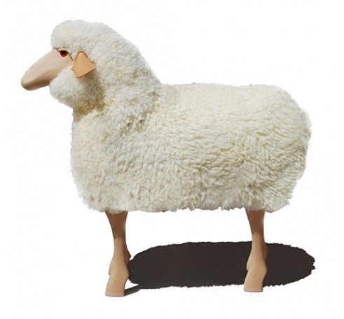 Schaf echtes Fell Lebensgröße Buche